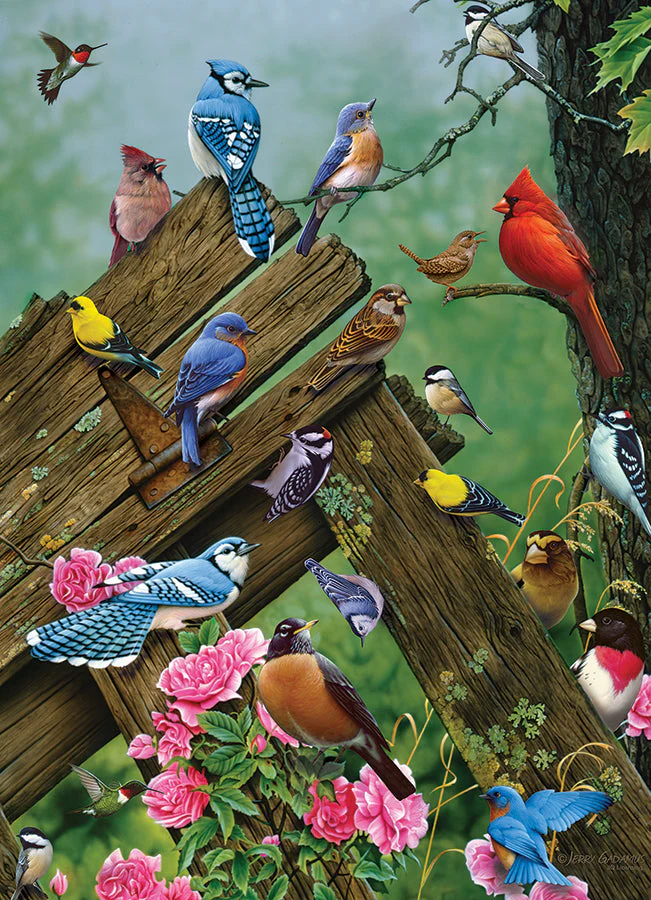 Birds of the Forest | 1000 Piece - Image 2