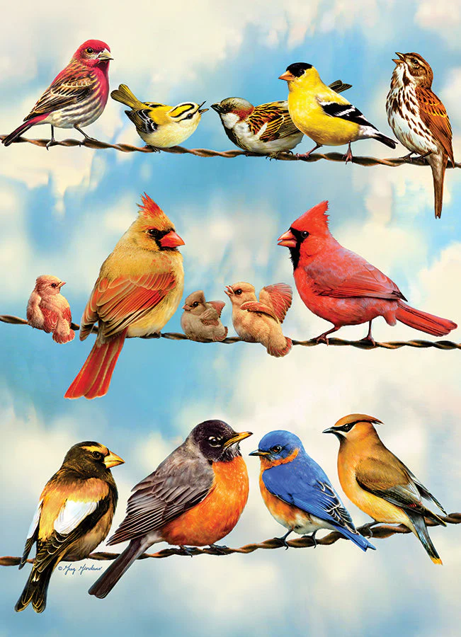Birds on a Wire | 500 Piece - Image 2