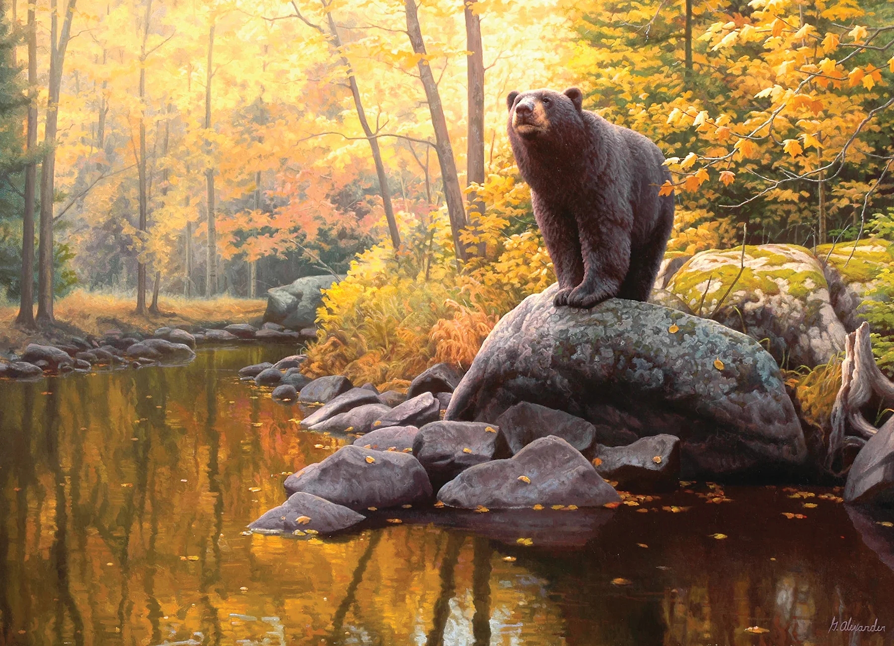 Black Bear Pond | 1000 Piece - Image 2