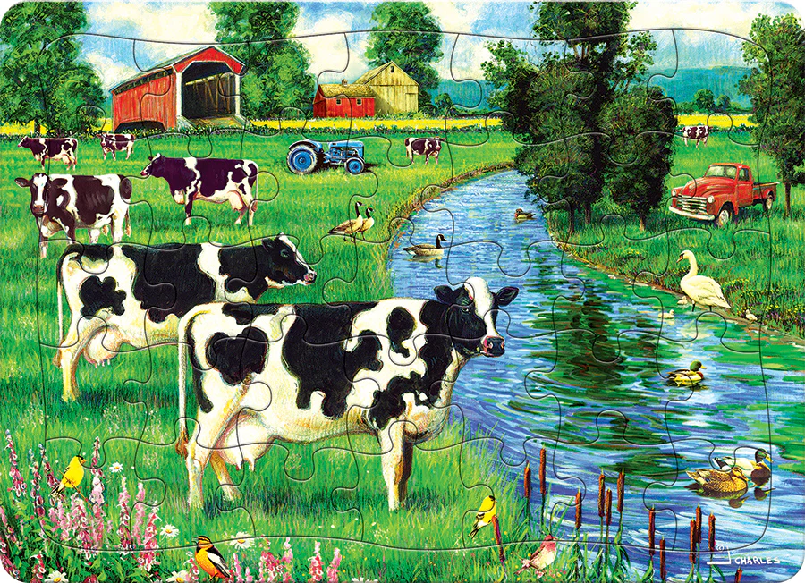 Cow Stream (tray) | 35 Piece Tray