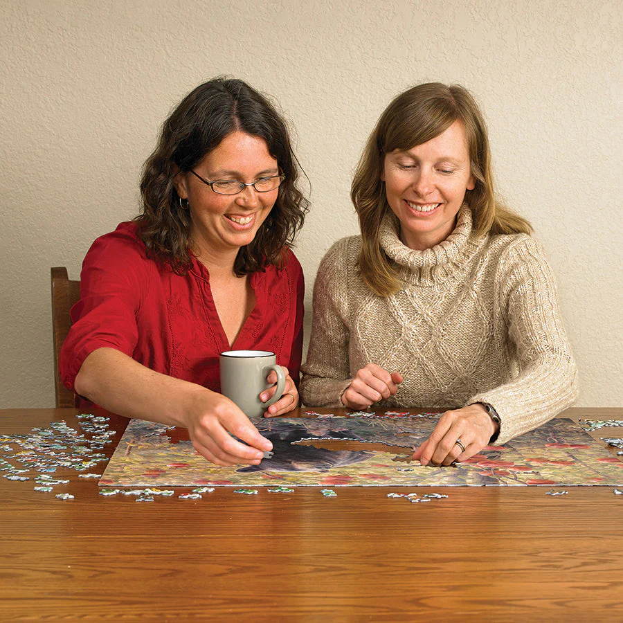 Den Dreams | 500 Piece - Image 5