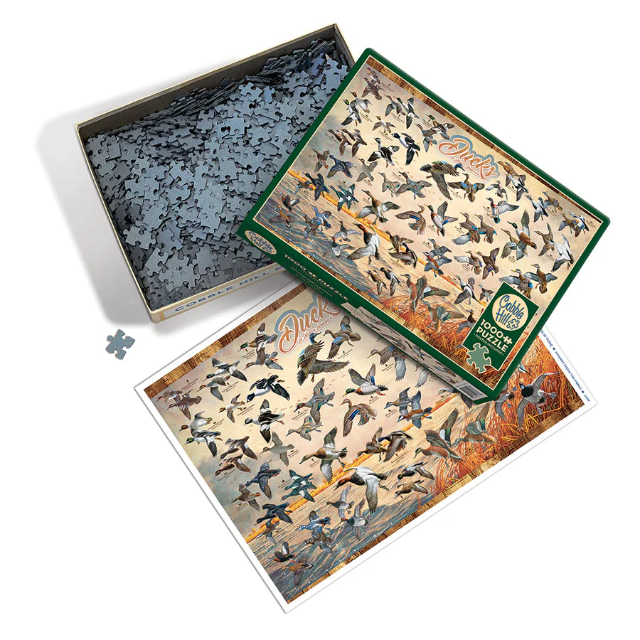 Ducks of North America | 1000 Piece - Image 3
