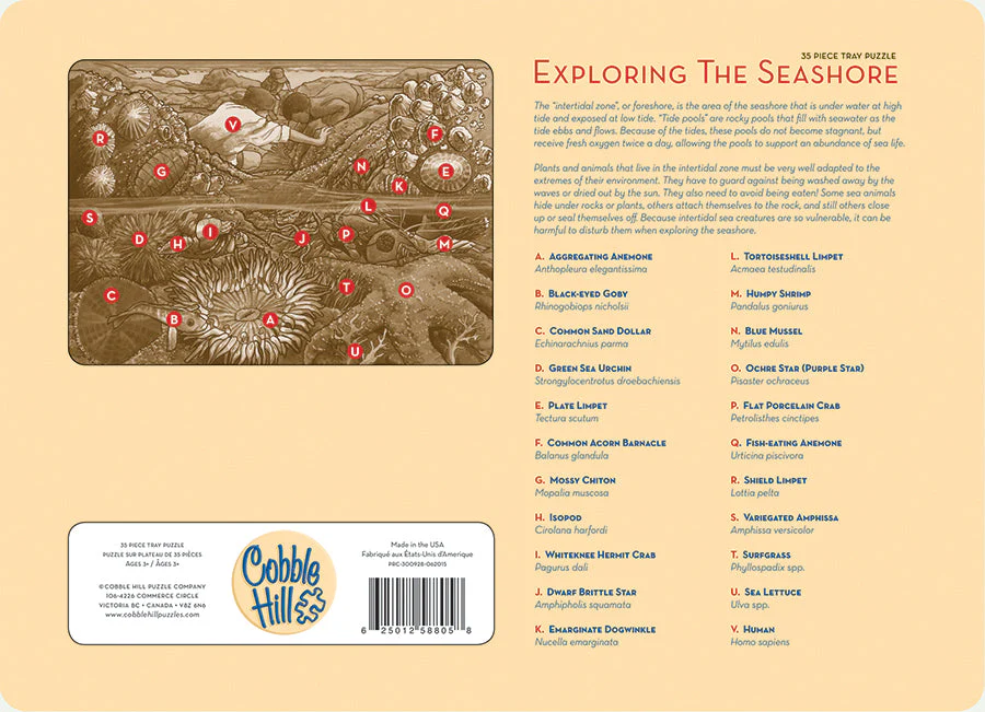 Exploring the Seashore (tray) | 35 Piece Tray - Image 3