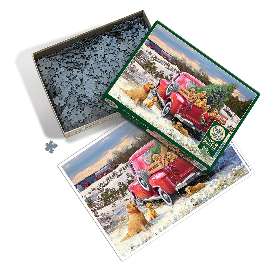 Family Outing | 1000 Piece - Image 3