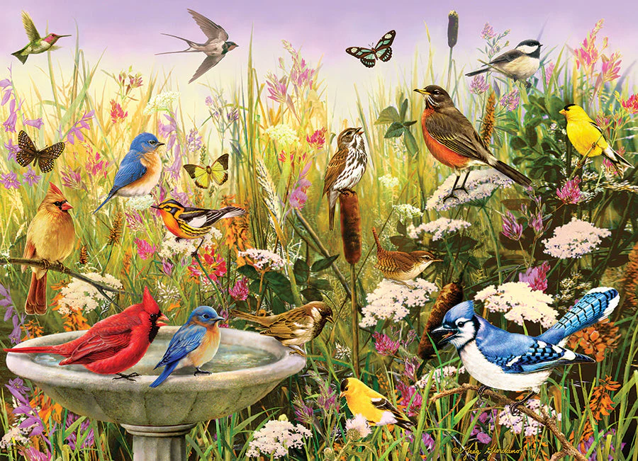 Feathered Friends | 1000 Piece - Image 2