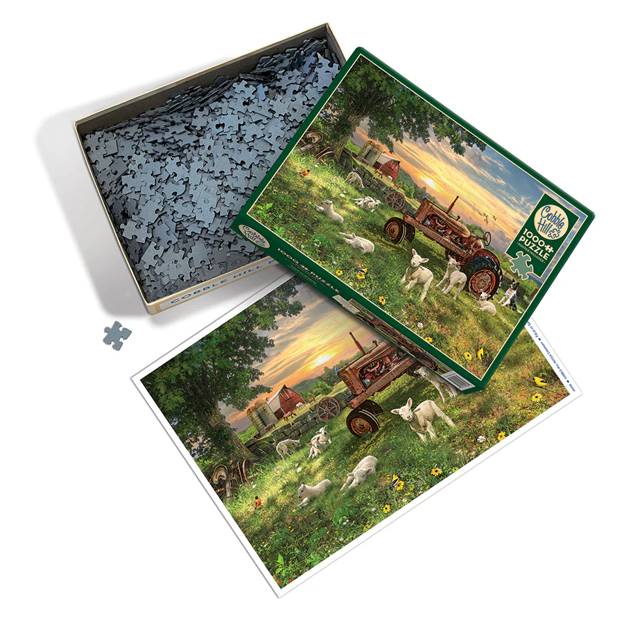 Field at Sunrise | 1000 Piece - Image 3