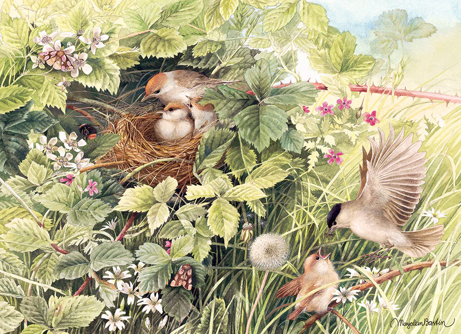 Hidden Nest | 1000 Piece - Image 2