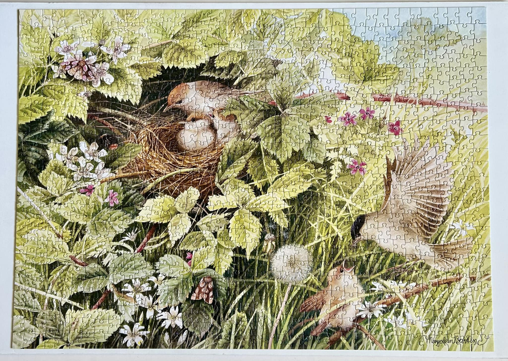 Hidden Nest | 1000 Piece - Image 4