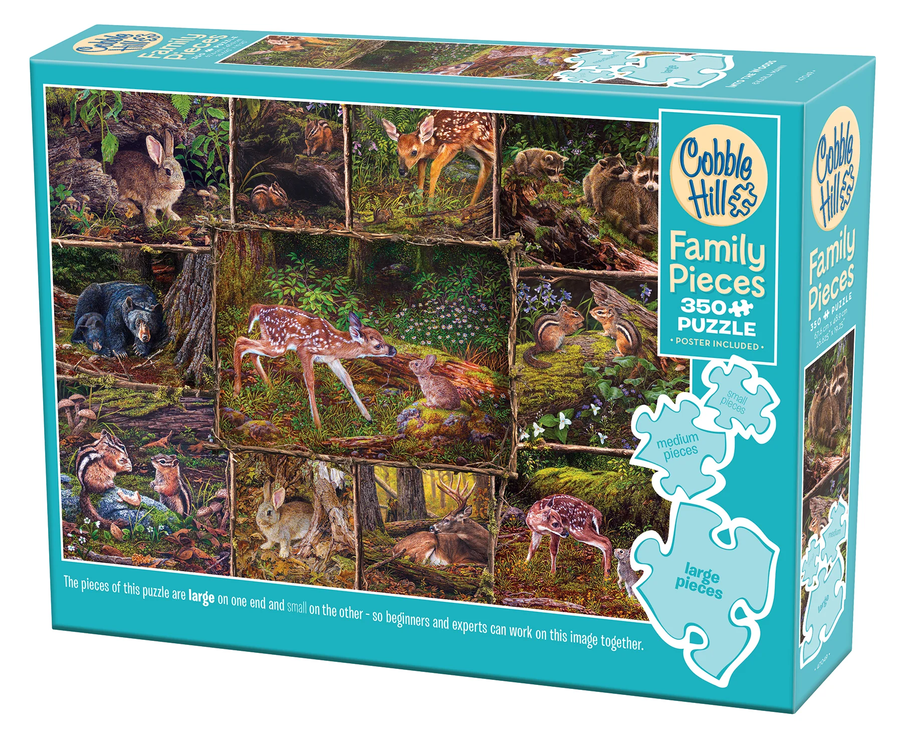 Into the Woods (Family) | Family Pieces 350