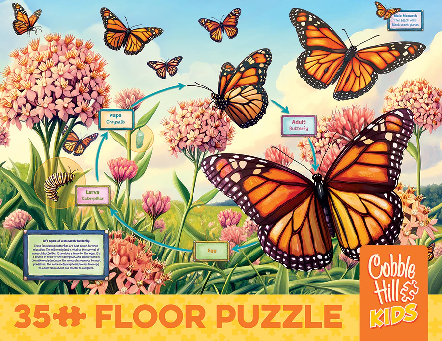 Life Cycle of a Monarch | Floor Puzzle 35pc | AI Assistance - Image 4