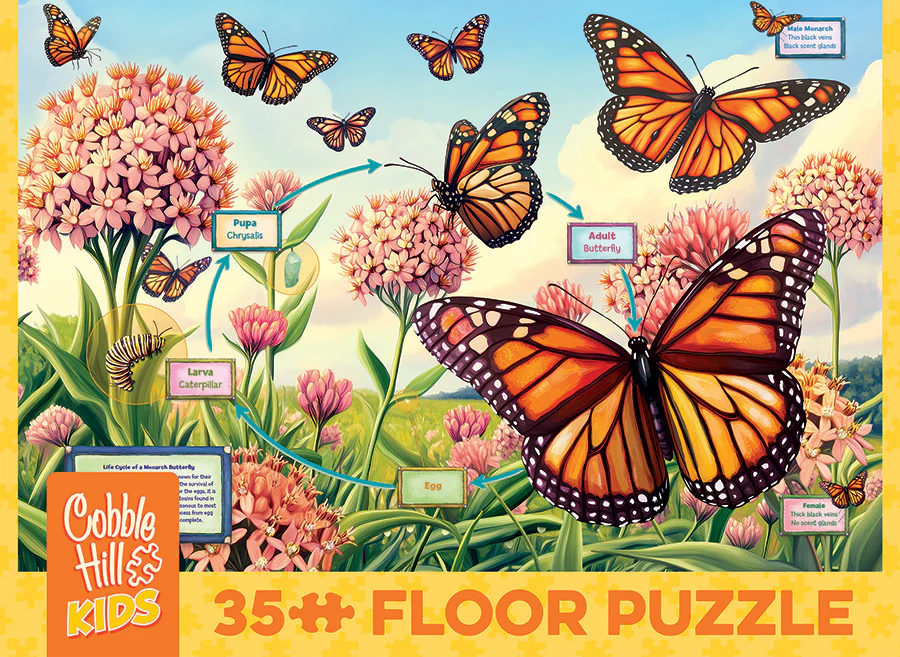 Life Cycle of a Monarch | Floor Puzzle 35pc | AI Assistance - Image 5