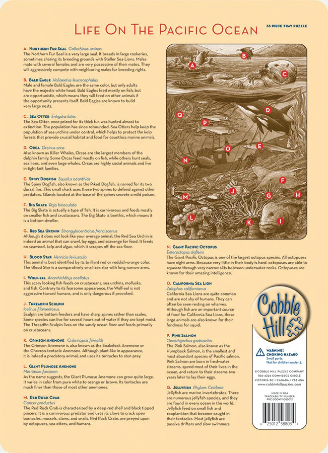 Life on the Pacific Ocean (tray) | 35 Piece Tray - Image 3