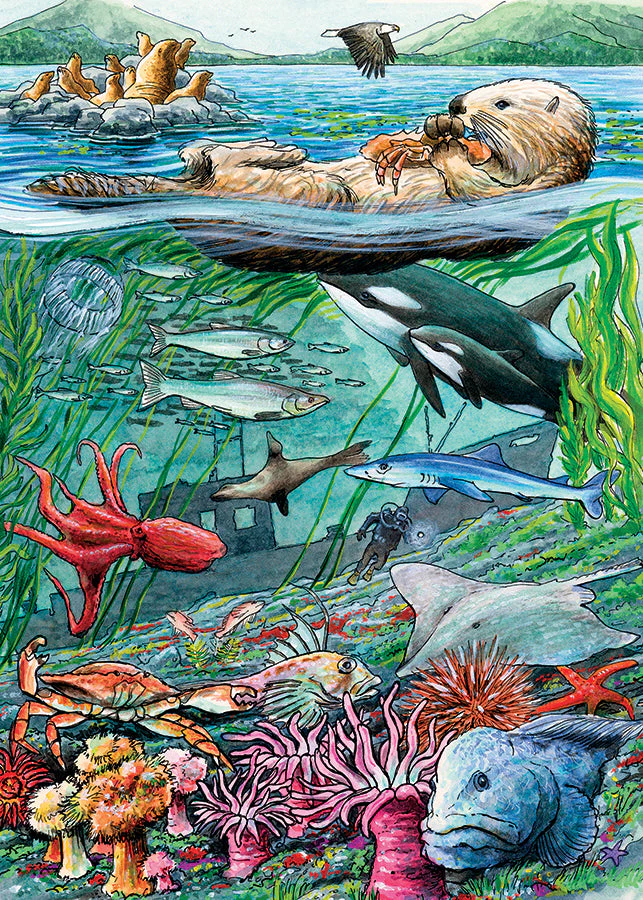 Life on the Pacific Ocean (tray) | 35 Piece Tray - Image 4