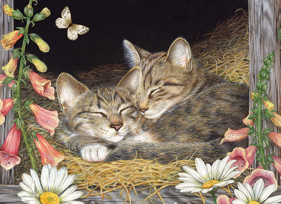 Morning Snooze (tray) | 35 Piece Tray - Image 3