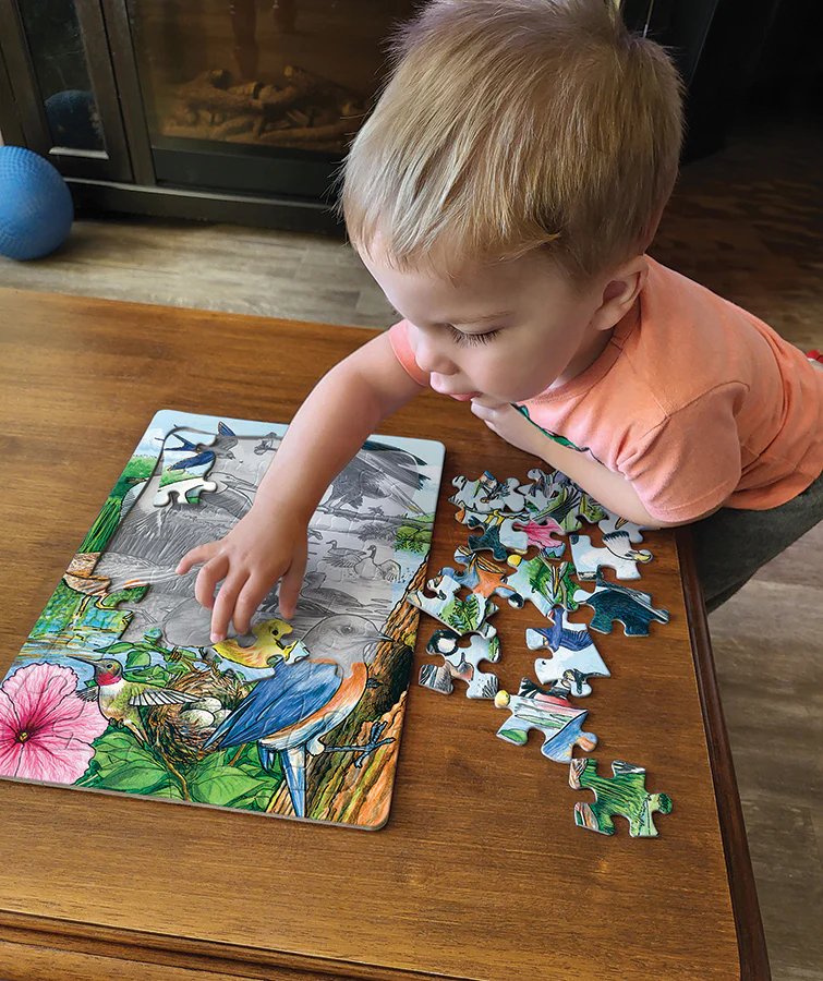 North American Birds (tray) | 35 Piece Tray - Image 2