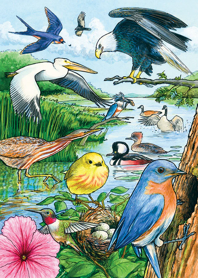 North American Birds (tray) | 35 Piece Tray - Image 4