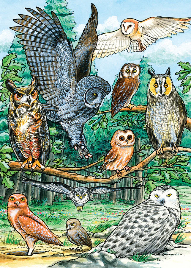 North American Owls (tray) | 35 Piece Tray - Image 4