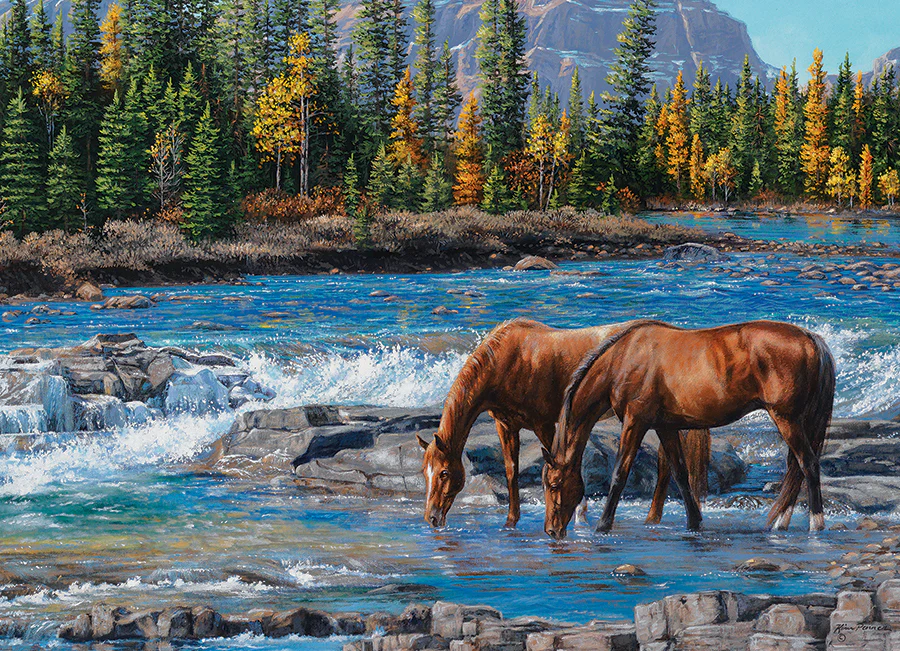 On the Rocks | 1000 Piece - Image 2