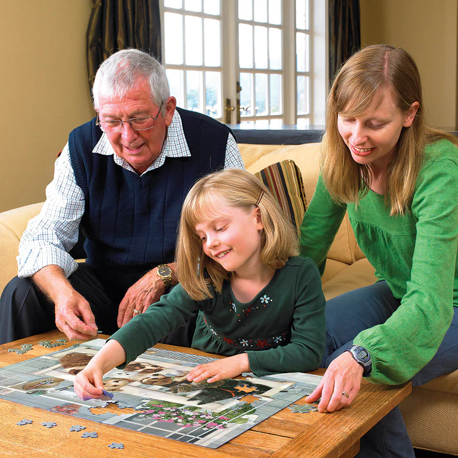 Porch Pals (Family) | Family Pieces 350 - Image 5