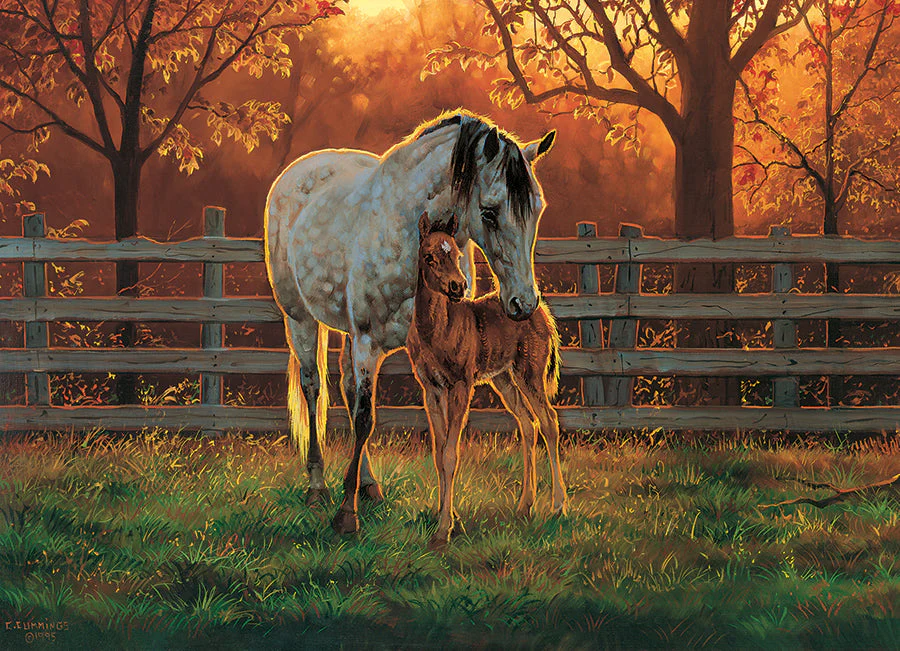 Quiet Time | 500 Piece - Image 2