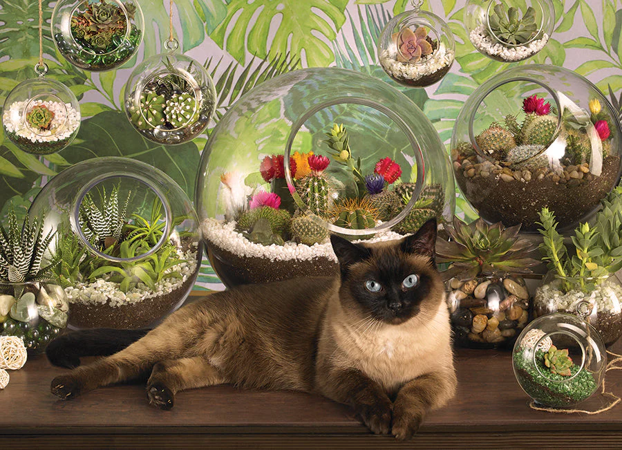 Terrarium Cat | 1000 Piece - Image 2