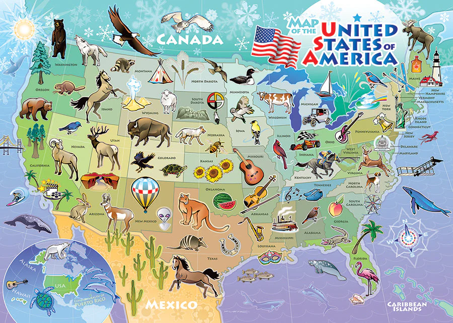 USA Map (tray) | 35 Piece Tray - Image 3